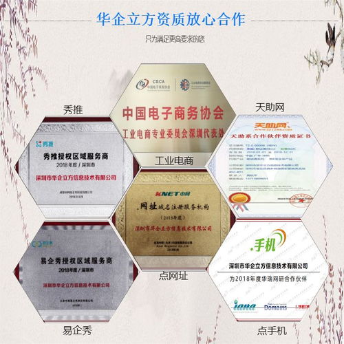 田心推广型网站 深圳推广公司做的好的 问答型网站的推广