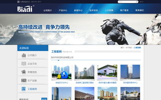 标顶官方网站设计制作 成功案例 沙漠风网站建设公司